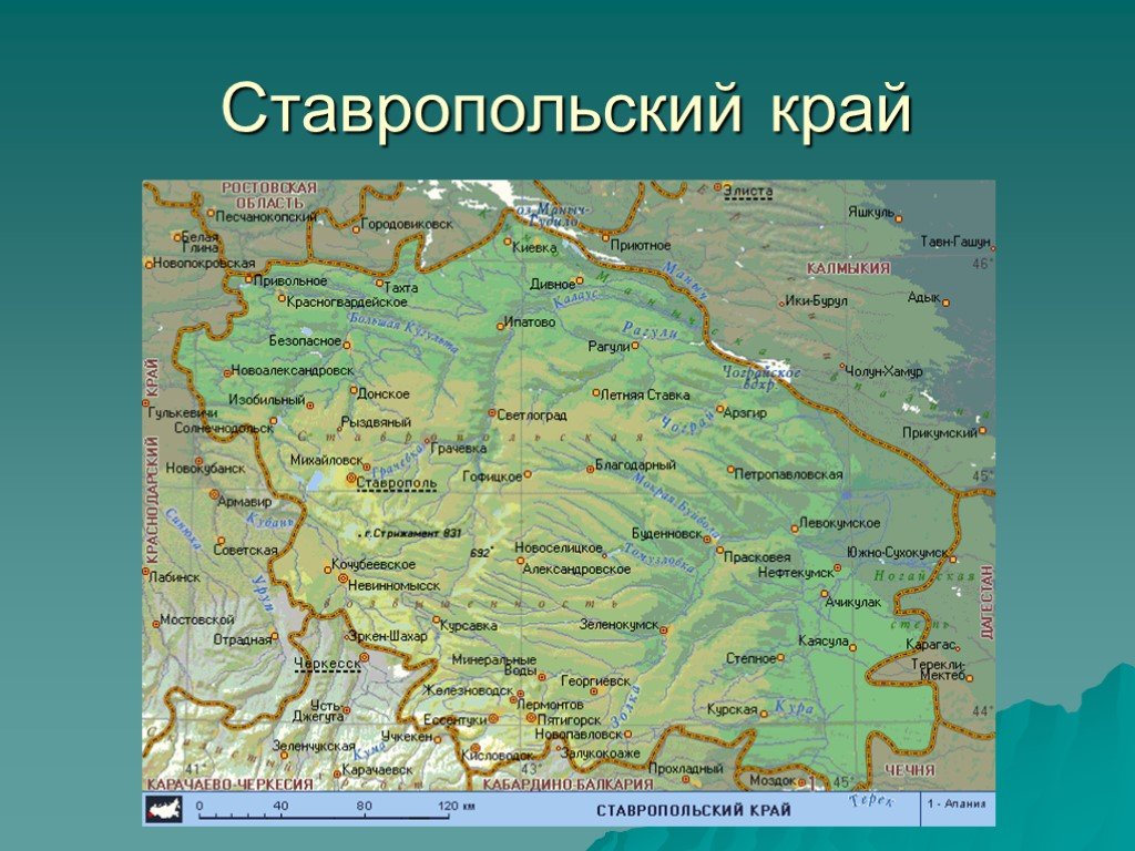 Субъект федерации ставропольский край