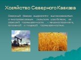 Хозяйство Северного Кавказа. Северный Кавказ выделяется высокоразвитым и многоотраслевым сельским хозяйством, из отраслей промышленности – машиностроением, топливной и пищевой промышленностью.