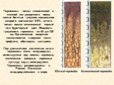 Черноземы – почвы лесостепной и степной зон умеренного пояса, самые богатые гумусом, содержание которого составляет 6-9%, отчего почвы имеют интенсивный черный или буро-черный цвет. Мощность гумусового горизонта - от 40 до 120 см. Органическое вещество накапливается в верхней части профиля, обогащен