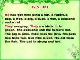 Ex.5 p.101 He has got nine pets: a hen, a rabbit, a dog, a frog, a pig, a duck, a fish, a cockerel and a cat. They are grey. They are black. It is green. The cockerel and the fish are red. The pig is pink. Nick likes his pets. His pets like Nick too. But Nick is sad. His cat likes the fish. The cat 