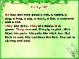 Ex.5 p.101 He has got nine pets: a hen, a rabbit, a dog, a frog, a pig, a duck, a fish, a cockerel and a cat. They are grey. They are black. It is green. They are red. The pig is pink. Nick likes his pets. His pets like Nick too. But Nick is sad. His cat likes the fish. The cat is strong and bad.