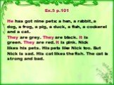 Ex.5 p.101 He has got nine pets: a hen, a rabbit, a dog, a frog, a pig, a duck, a fish, a cockerel and a cat. They are grey. They are black. It is green. They are red. It is pink. Nick likes his pets. His pets like Nick too. But Nick is sad. His cat likes the fish. The cat is strong and bad.