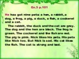 Ex.5 p.101 He has got nine pets: a hen, a rabbit, a dog, a frog, a pig, a duck, a fish, a cockerel and a cat. The rabbit, the duck and the cat are grey. The dog and the hen are black. The frog is green. The cockerel and the fish are red. The pig is pink. Nick likes his pets. His pets like Nick too. 
