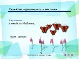 Например: семейство бабочек; Понятие одномерного массива. поле цветов;