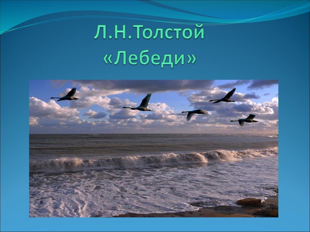 Л толстой рассказ лебеди. Лебеди толстой. Лев толстой лебеди. Л толстой лебеди. Урок чтения лебеди толстой.