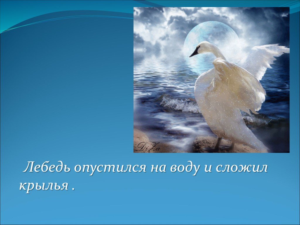 Произведение толстого лебеди. Лебеди толстой. Л толстой лебеди. Произведение Толстого про лебедя. Презентация про лебедей 3 класс.