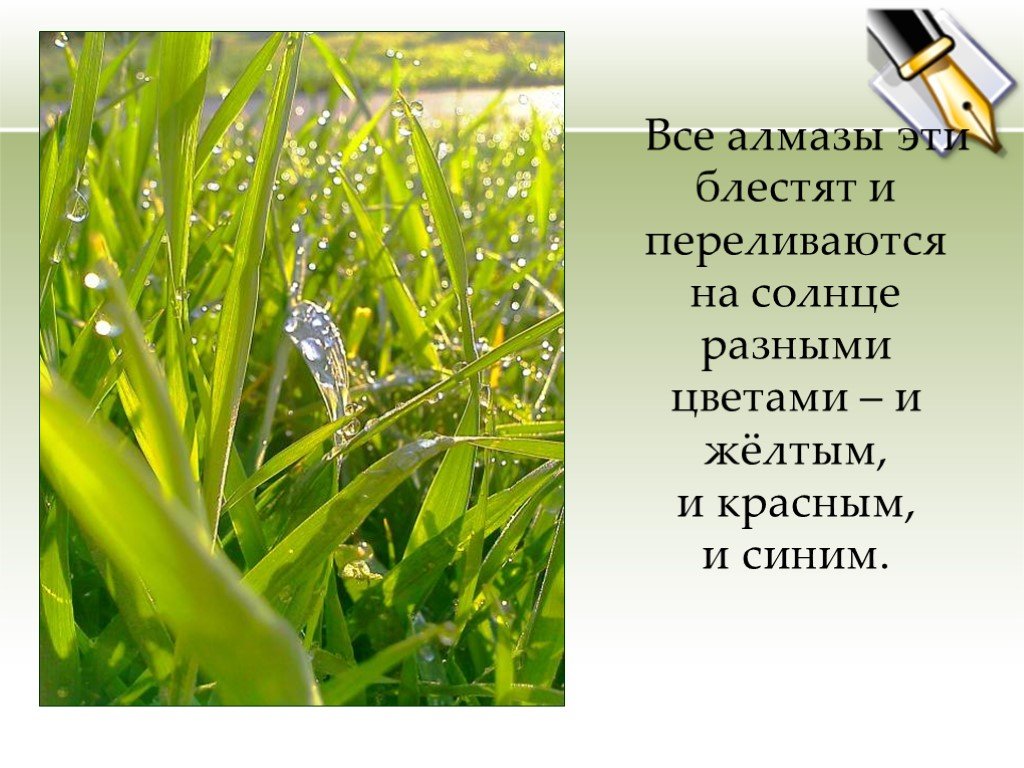 Какая роса бывает на траве 3 класс. Какая бывает роса на траве. Какая бывает роса на траве толстой. Стихи о росе на траве. Толстой роса на траве.