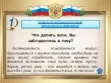 ПРАВИЛА ПОВЕДЕНИЯ В УСЛОВИЯХ АВТОНОМНОГО ВЫЖИВАНИЯ. Остановиться, осмотреться вокруг, прислушаться к звукам (выходить необходимо на шум, звуки); определить, сколько времени ты двигался, вспомнить свой путь; искать тропу, дорогу, речей, реку - они выведут к жилью; при выходе к реке, ручью двигаться в