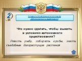 Ловить рыбу, собирать грибы, знать съедобные дикорастущие растения. Что нужно сделать, чтобы выжить в условиях автономного существования?