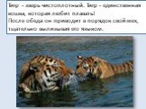 Тигр - зверь чистоплотный. Тигр - единственная кошка, которая любит плавать! После обеда он приводит в порядок свой мех, тщательно вылизывая его языком.