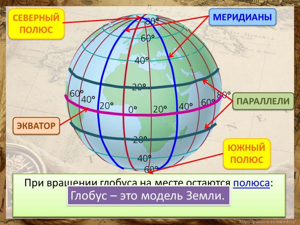 Географическая сетка координат 5 класс. Экватор Северный и Южный полюс. Меридиан параллель полюс Экватор на глобусе. Параллели и меридианы. Меридианы на глобусе.
