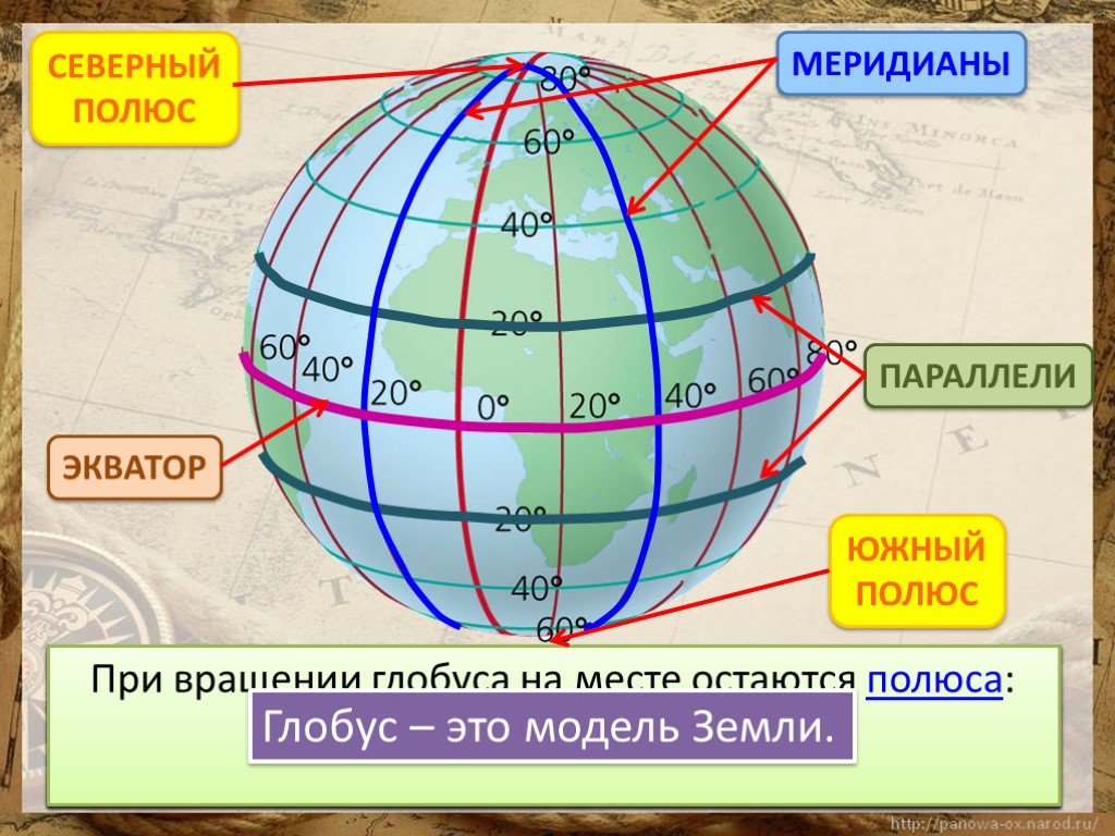 Параллель меридианы географическая. Глобус меридианы параллели Экватор. Экватор 0 Меридиан Северный и Южный полюс. Глобус параллели и меридианы градусная сетка. Параллели на глобусе.