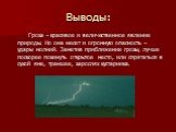 Выводы: Гроза – красивое и величественное явление природы. Но она несет и огромную опасность – удары молний. Заметив приближение грозы, лучше поскорее покинуть открытое место, или спрятаться в сухой яме, траншее, зарослях кустарника.