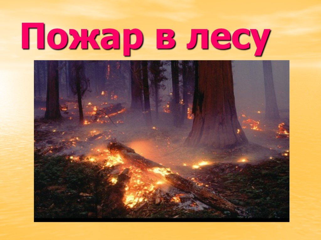 Лесные пожары 2 класс. Лесные опасности Лесные пожары. Опасность пожара в лесу. Лесные опасности Лесные пожары 2 класс.