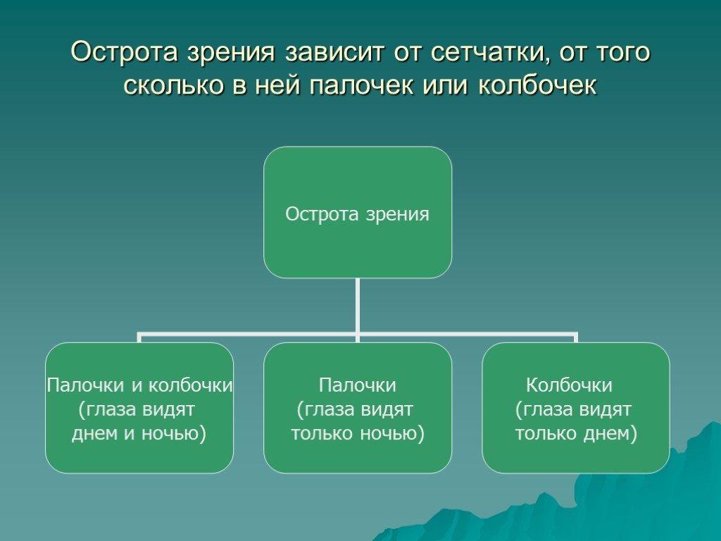 Форма исследователя. Формы приспособленности у растений. Климатические особенности. Формы приспособленности организмов. Формы приспособленности у животных.