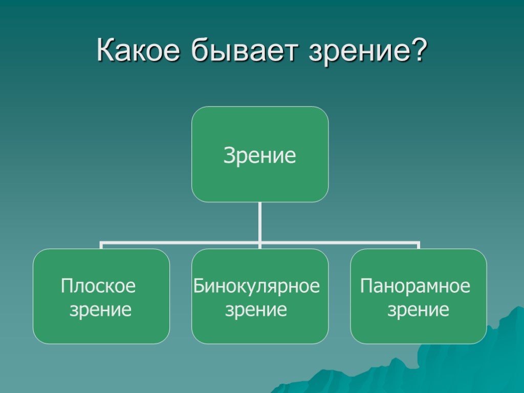 Зрение бывает. Какое бывает зрение. Какое бывает. Плоскозрение.