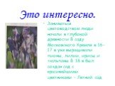 Заниматься цветоводством люди начали в глубокой древности.В саду Московского Кремля в 16-17 в.уже выращивали пионы, лилии, ирисы и тюльпаны.В 18 в.был создан сад с красивейшими цветниками – Летний сад.