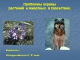 Проблемы охраны растений и животных в Казахстане. Выполнила : Абельдинова Алия 11 “В” класс