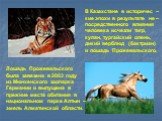 В Казахстане в историчес – кие эпохи в результате не – посредственного влияния человека исчезли тигр, кулан, тургайский олень, дикий верблюд (бактриан) и лошадь Прожевальского. Лошадь Прожевальского была завезена в 2003 году из Мюнхенского зоопарка Германии и выпущена в прежние места обитания в наци