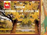 Состовитель: Генералов С.Е., г. Магнитогорск 2009 г. Звери Челябинской области
