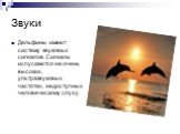 Звуки. Дельфины имеют систему звуковых сигналов. Сигналы испускаются на очень высоких, ультразвуковых частотах, недоступных человеческому слуху.