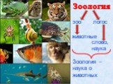 Зоология животные зоо логос слово, наука. Зоология – наука о животных