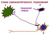Схема пресинаптического торможения. 1 2 3 тормозной нейрон