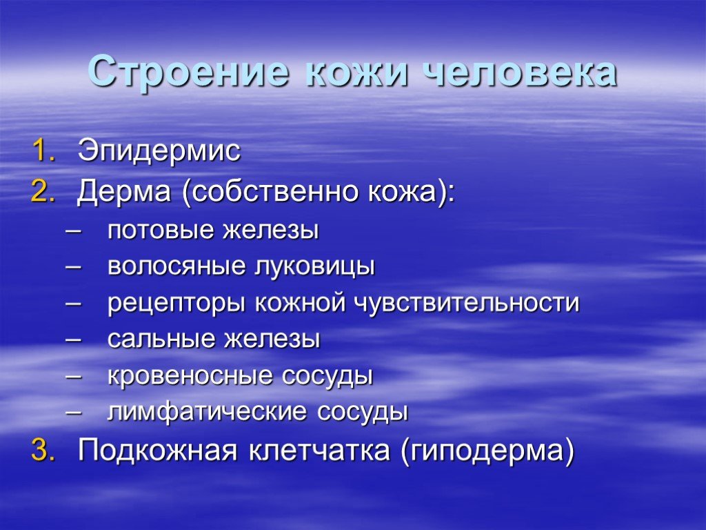 Правило семи. Этапы алгоритмического решения задачи. Функции кожи презентация. Этапы решения задач с помощью компьютера постановка. Описание алгоритма решения задачи.