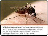 ВИЧ не передается через укусы насекомых. Комар не может оказаться источником инфицирования, потому что при укусе он впрыскивает человеку не кровь предыдущей жертвы, а собственную слюну.