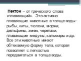 Нектон – от греческого слова «плавающий». Это активно плавающие животные в толще воды: рыбы, киты, тюлени, моржи, дельфины, змеи, черепахи, плавающие медузы, кальмары и др. Все эти животные имеют обтекаемую форму тела, которая позволяет с легкостью передвигаться в толще воды.