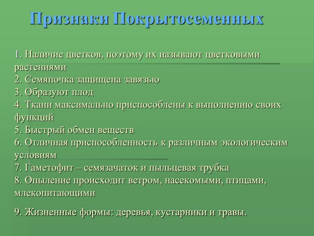 Тема годового проекта по биологии. Пределы прокурорского надзора за исполнением законов. Пределы прокурорского надзора.