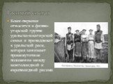 Коми-пермяки относятся к финно-угорской группе уральско-юкагирской семьи и принадлежат к уральской расе, которая занимает промежуточное положение между монголоидной и европеоидной расами. Расовый состав