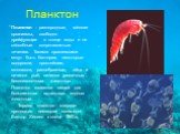Планктон. Планктон - разнородные, мелкие организмы, свободно дрейфующие в толще воды и не способные сопротивляться течению. Такими организмами могут быть бактерии, некоторые водоросли, простейшие, моллюски, ракообразные, яйца и личинки рыб, личинки различных беспозвоночных животных. Планктон являетс