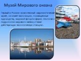 Музей Мирового океана. Первый в России комплексный маринистический музей, он имеет экспозиции, посвящённые судоходству, морской флоре и фауне, геологии и гидрологии мирового океана, а также действующую экологическую станцию.