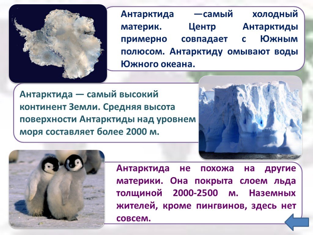 Сколько холодно то. Антарктида самый холодный материк. Антарктида это самый. Антарктида это самый материк. Антарктида - самый холодный материк земли.