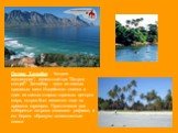 Остров Занзибар - "остров-заповедник", известный как "Остров специй". Занзибар - одно из самых красивых мест Индийского океана и один из самых старых торговых центров мира, остров был известен еще во времена шумеров. Практически все побережье острова опоясано рифами, а его берега