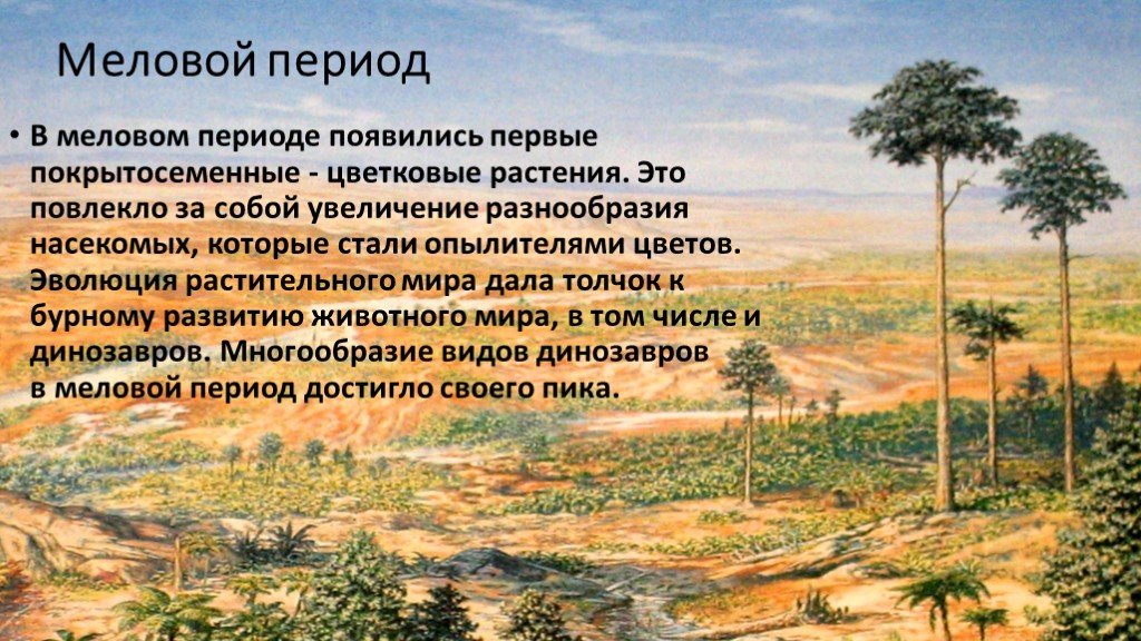 Новый период появился в периоде. Покрытосеменные растения мезозойской эры. Покрытосеменные цветковые растения мелового периода. Флора мелового периода таблица. Меловой период растительный мир.