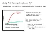 Polygalacturonase (PG) is an enzyme that breaks down pectin in ripening fruit walls. Plants with an antisense PG transgene produce less PG. Walls soften more slowly. Many genes manipulated in the same way to answer basic questions: - what is the role of hormones in ripening? - what do particular enz