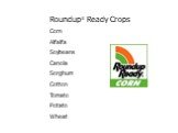 Roundup® Ready Crops Corn Alfalfa Soybeans Canola Sorghum Cotton Tomato Potato Wheat