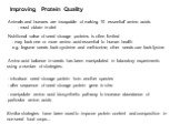 Improving Protein Quality. Nutritional value of seed storage proteins is often limited. - may lack one or more amino acid essential to human health e.g. legume seeds lack cysteine and methionine; other seeds can lack lysine. Animals and humans are incapable of making 10 ‘essential’ amino acids - mus