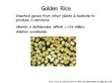 http://www.princeton.edu/~fecelik/GMFoods/impactshumanconsumptionpros.html. Golden Rice Inserted genes from other plants & bacteria to produce –carotene Vitamin A deficiencies affect >124 million children worldwide