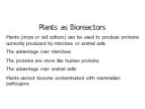 Plants as Bioreactors Plants (crops or cell culture) can be used to produce proteins currently produced by microbes or animal cells The advantage over microbes: The proteins are more like human proteins The advantage over animal cells: Plants cannot become contaminated with mammalian pathogens