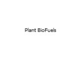 Plant BioFuels