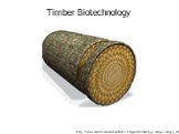 http://www.wired.com/wired/archive/11.04/genetics.html?pg=1&topic=&topic_set=. Timber Biotechnology