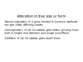 Alteration in tree size or form Altered expression of a gene involved in hormone synthesis can give wildly differing results Overexpression of GA 20-oxidase gives faster growing trees both in height and diameter and longer wood fibers Inhibition of GA 20-oxidase gives dwarf trees