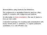 Bioremediation using bacteria has limitations The engineered or specialized bacteria used are often unable to compete with indigenous soil bacteria An alternative is phytoremediation, the use of plants to mop up toxic waste A standard technique for treating soils contaminated with heavy metals (lead