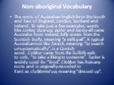 Non-aboriginal Vocabulary. The roots of Australian English lie in the South and East of England, London, Scotland and Ireland. To take just a few examples, words like corker, dust-up, purler and tootsy all came Australia from Ireland; billy comes from the Scottish bally, meaning “a milk pail”. A typ