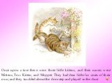 Once upon a time there were three little kittens, and their names were Mittens, Tom Kitten, and Moppet. They had dear little fur coats of their own; and they tumbled about the doorstep and played in the dust.