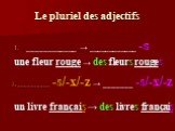 Le pluriel des adjectifs. 2. __________ -s/-x/-z → _______ -s/-x/-z un livre français → des livres français. ____________ → ____________ -s une fleur rouge → des fleurs rouges