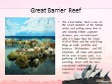 Great Barrier Reef. The Great Barrier Reef is one of the seven wonders of the natural world, and pulling away from it, and viewing it from a greater distance, you can understand why. It is larger than the Great Wall of China and the only living thing on earth visibThe reef, between 15 kilometres and
